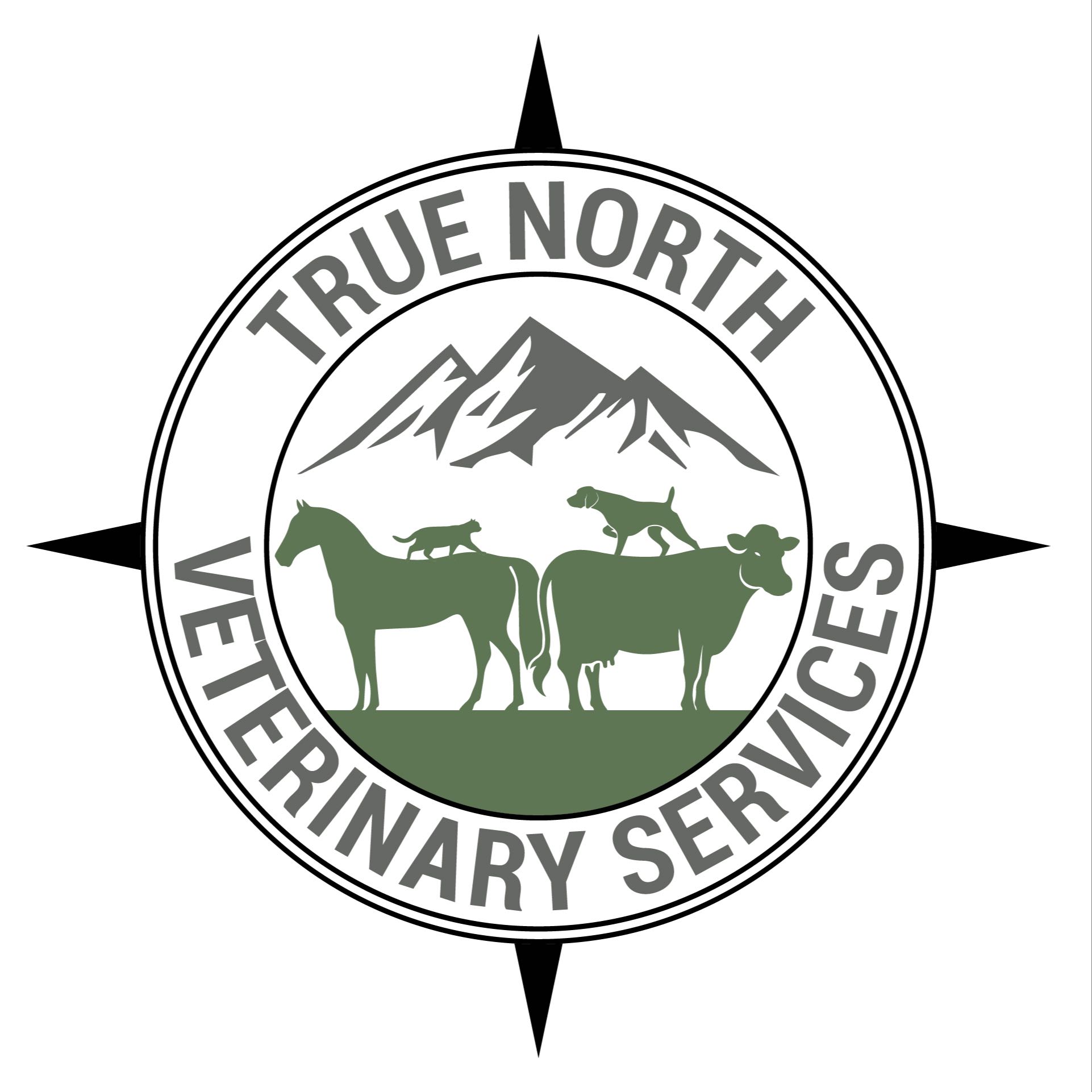 Veterinarian